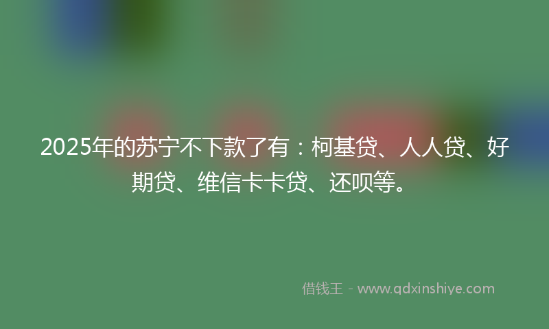2025年的苏宁不下款了有：柯基贷、人人贷、好期贷、维信卡卡贷、还呗等。