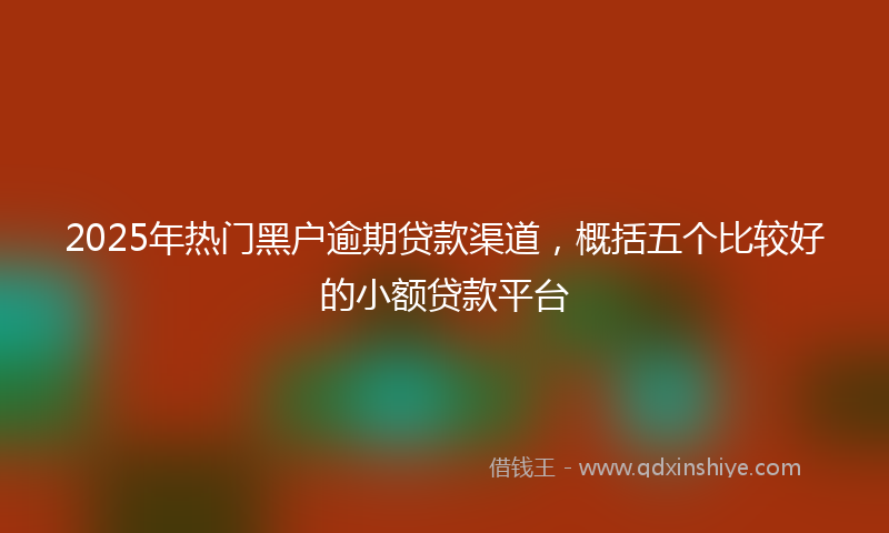 2025年热门黑户逾期贷款渠道，概括五个比较好的小额贷款平台
