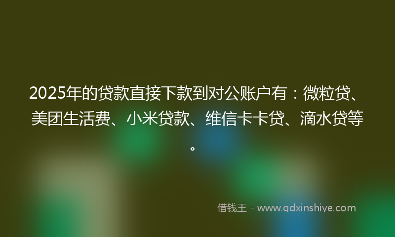 2025年的贷款直接下款到对公账户有：微粒贷、美团生活费、小米贷款、维信卡卡贷、滴水贷等。
