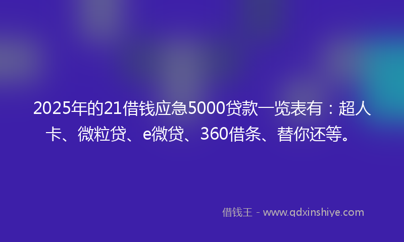 2025年的21借钱应急5000贷款一览表有：超人卡、微粒贷、e微贷、360借条、替你还等。