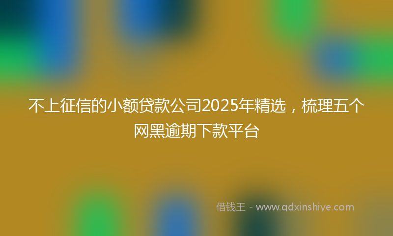 不上征信的小额贷款公司2025年精选，梳理五个网黑逾期下款平台