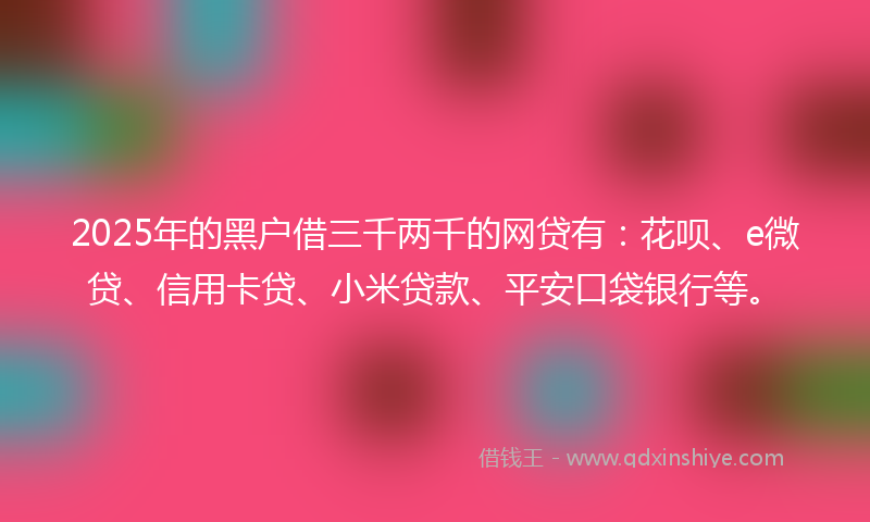 2025年的黑户借三千两千的网贷有:花呗、e微贷、信用卡贷、小米贷款、平安口袋银行等。