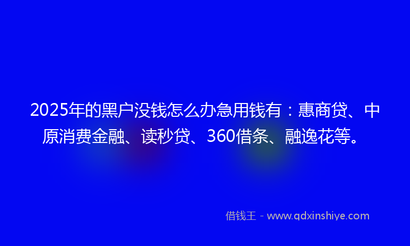 2025年的黑户没钱怎么办急用钱有：惠商贷、中原消费金融、读秒贷、360借条、融逸花等。