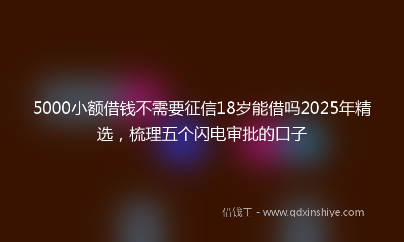 5000小额借钱不需要征信18岁能借吗2025年精选，梳理五个闪电审批的口子