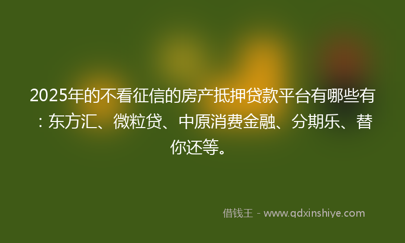 2025年的不看征信的房产抵押贷款平台有哪些有：东方汇、微粒贷、中原消费金融、分期乐、替你还等。