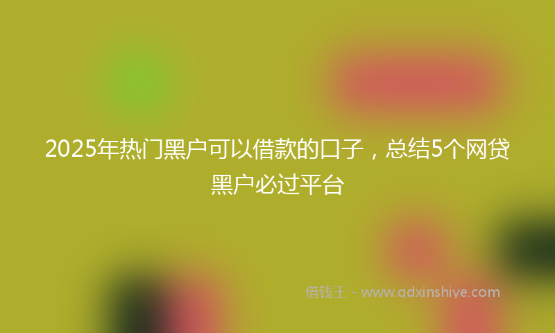 2025年热门黑户可以借款的口子，总结5个网贷黑户必过平台