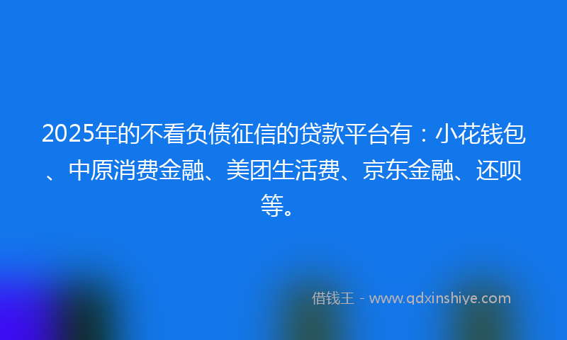 2025年的不看负债征信的贷款平台有：小花钱包、中原消费金融、美团生活费、京东金融、还呗等。