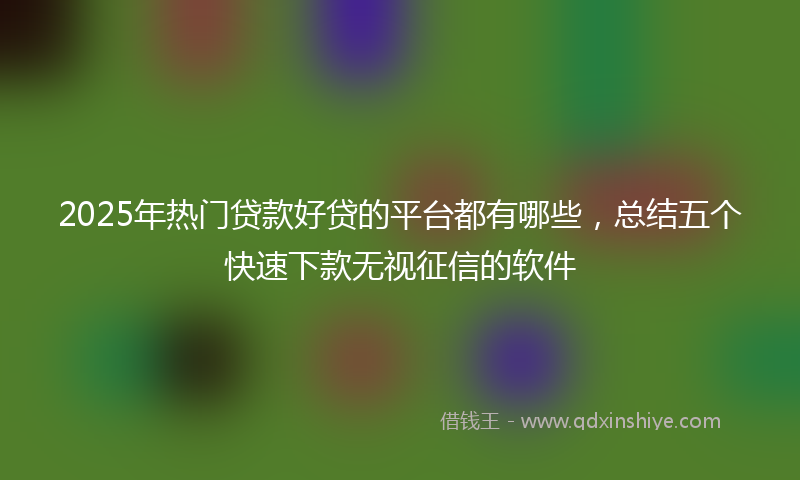 2025年热门贷款好贷的平台都有哪些，总结五个快速下款无视征信的软件