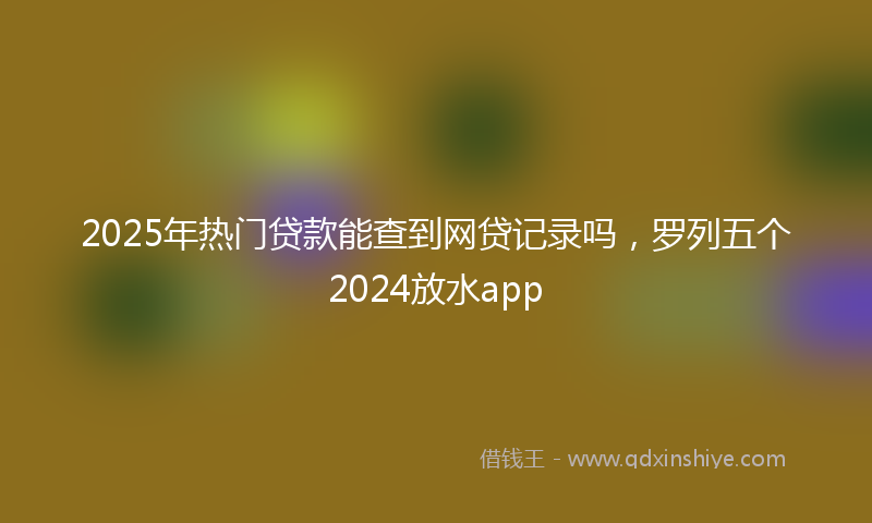 2025年热门贷款能查到网贷记录吗，罗列五个2024放水app