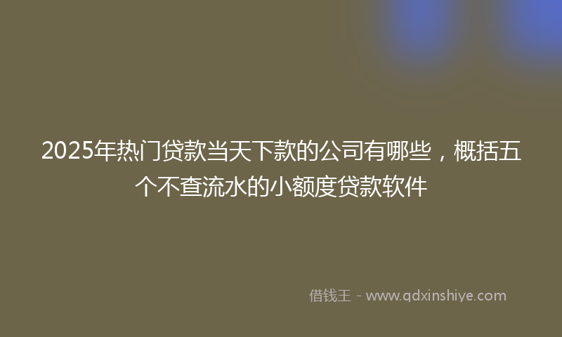 2025年热门贷款当天下款的公司有哪些，概括五个不查流水的小额度贷款软件