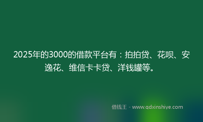 2025年的3000的借款平台有：拍拍贷、花呗、安逸花、维信卡卡贷、洋钱罐等。
