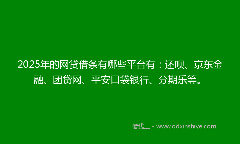 2025年的网贷借条有哪些平台有：还呗、京东金融、团贷网、平安口袋银行、分期乐等。