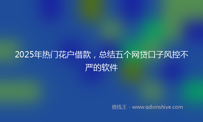 2025年热门花户借款,总结五个网贷口子风控不严的软件