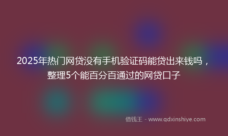 2025年热门网贷没有手机验证码能贷出来钱吗，整理5个能百分百通过的网贷口子