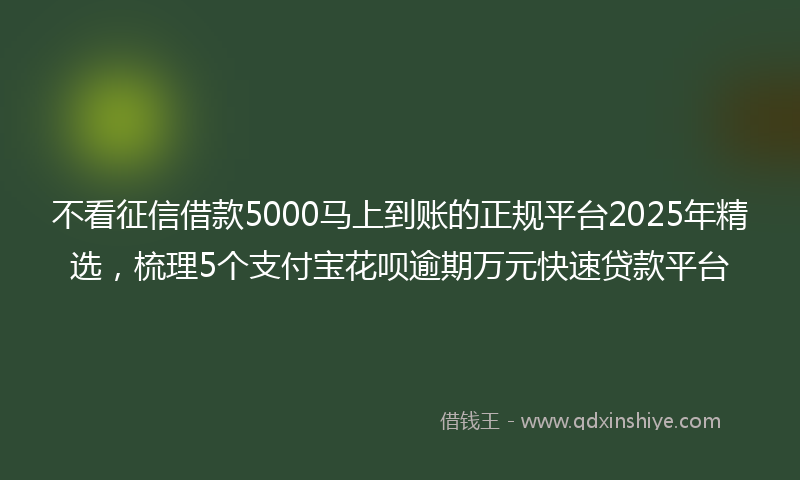 不看征信借款5000马上到账的正规平台2025年精选，梳理5个支付宝花呗逾期万元快速贷款平台