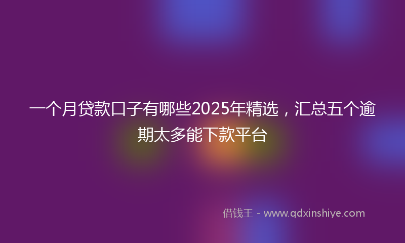 一个月贷款口子有哪些2025年精选，汇总五个逾期太多能下款平台