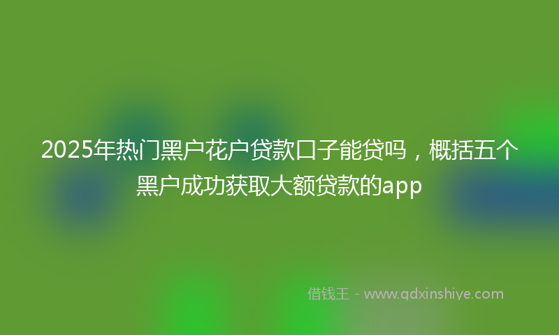 2025年热门黑户花户贷款口子能贷吗，概括五个黑户成功获取大额贷款的app