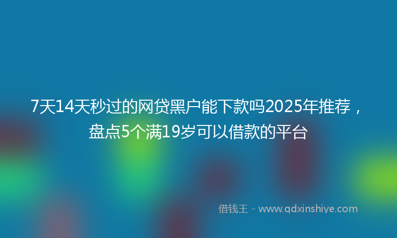 7天14天秒过的网贷黑户能下款吗2025年推荐，盘点5个满19岁可以借款的平台
