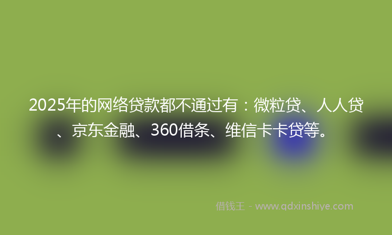 2025年的网络贷款都不通过有：微粒贷、人人贷、京东金融、360借条、维信卡卡贷等。