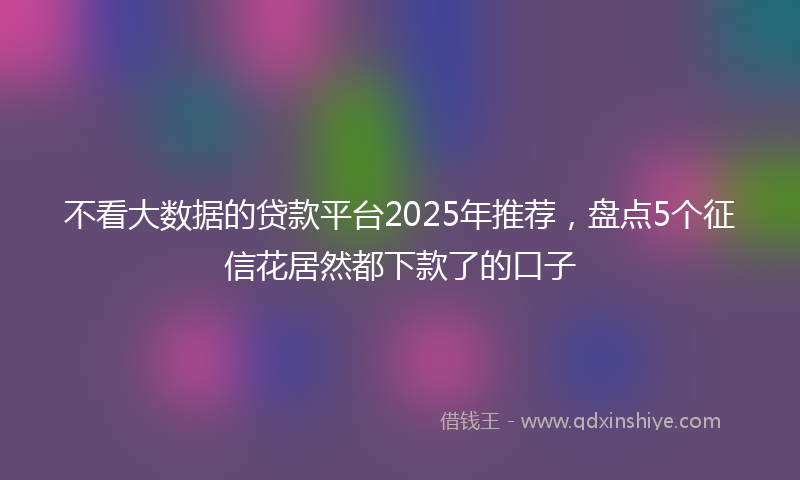 不看大数据的贷款平台2025年推荐，盘点5个征信花居然都下款了的口子