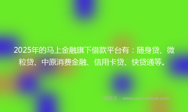 2025年的马上金融旗下借款平台有：随身贷、微粒贷、中原消费金融、信用卡贷、快贷通等。