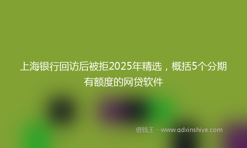 上海银行回访后被拒2025年精选，概括5个分期有额度的网贷软件