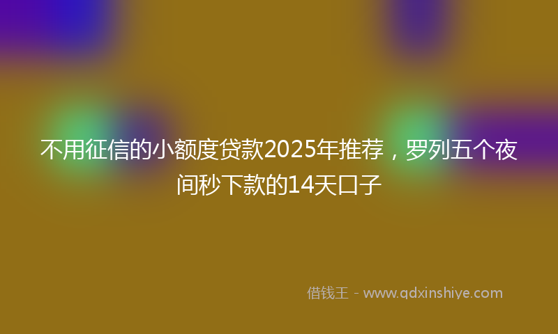 不用征信的小额度贷款2025年推荐，罗列五个夜间秒下款的14天口子