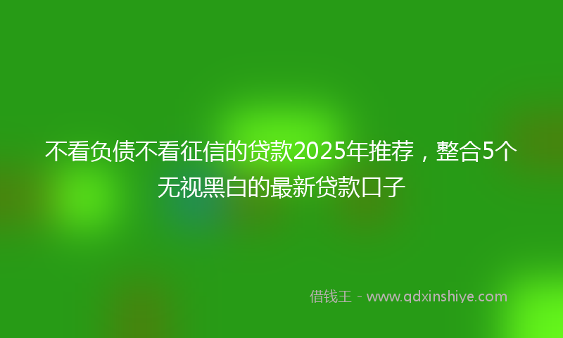 不看负债不看征信的贷款2025年推荐，整合5个无视黑白的最新贷款口子