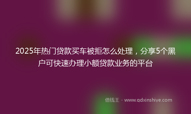 2025年热门贷款买车被拒怎么处理，分享5个黑户可快速办理小额贷款业务的平台