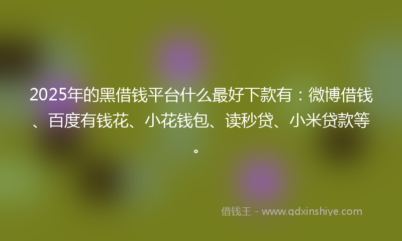 2025年的黑借钱平台什么最好下款有:微博借钱、百度有钱花、小花钱包、读秒贷、小米贷款等。