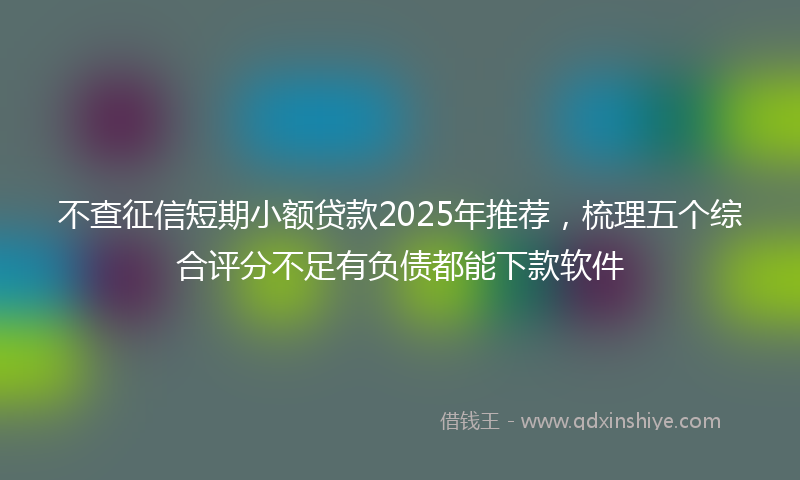 不查征信短期小额贷款2025年推荐，梳理五个综合评分不足有负债都能下款软件