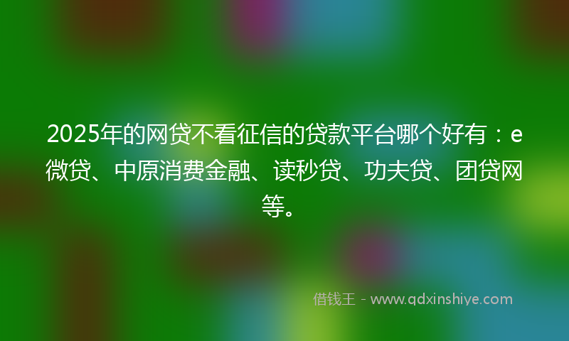 2025年的网贷不看征信的贷款平台哪个好有：e微贷、中原消费金融、读秒贷、功夫贷、团贷网等。