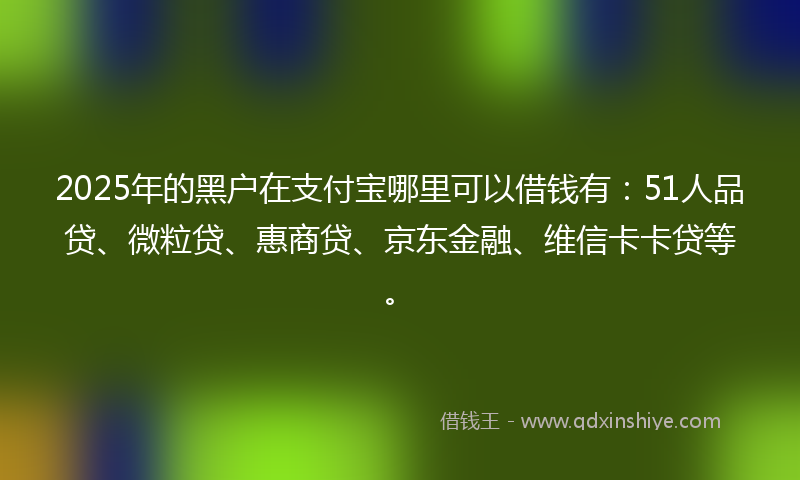 2025年的黑户在支付宝哪里可以借钱有:51人品贷、微粒贷、惠商贷、京东金融、维信卡卡贷等。