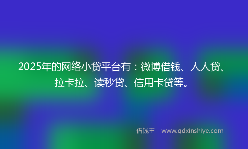 2025年的网络小贷平台有：微博借钱、人人贷、拉卡拉、读秒贷、信用卡贷等。