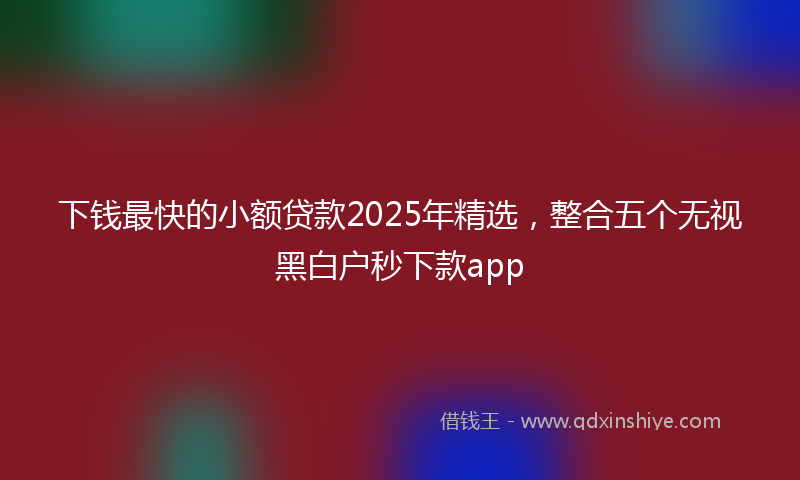 下钱最快的小额贷款2025年精选，整合五个无视黑白户秒下款app