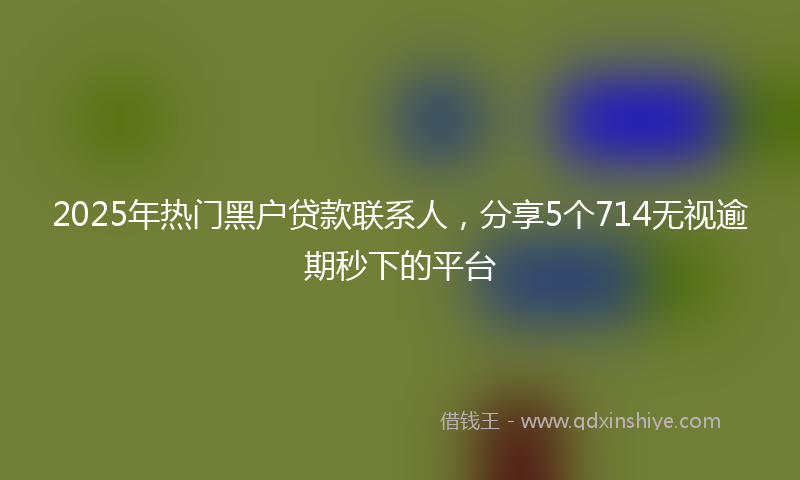 2025年热门黑户贷款联系人,分享5个714无视逾期秒下的平台