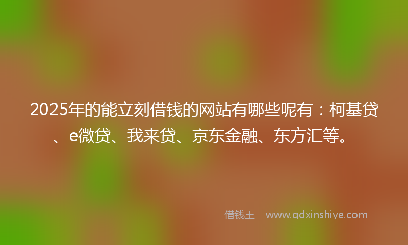 2025年的能立刻借钱的网站有哪些呢有：柯基贷、e微贷、我来贷、京东金融、东方汇等。