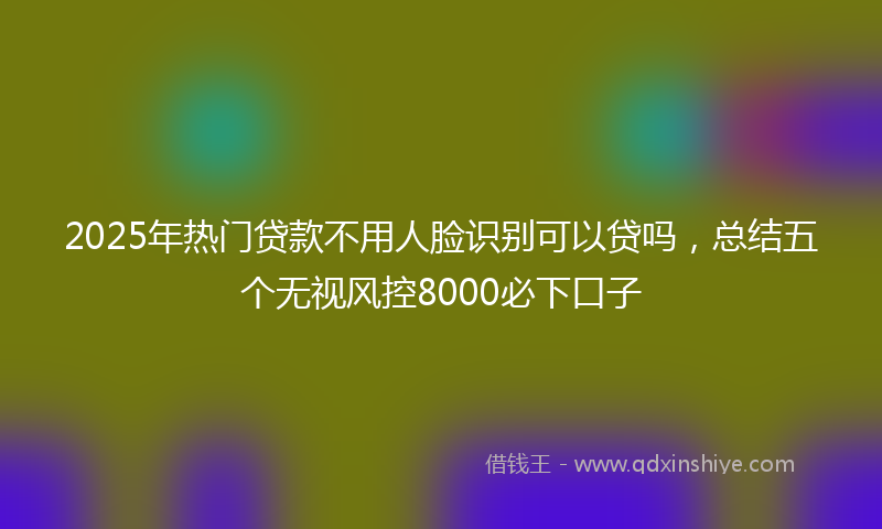2025年热门贷款不用人脸识别可以贷吗，总结五个无视风控8000必下口子