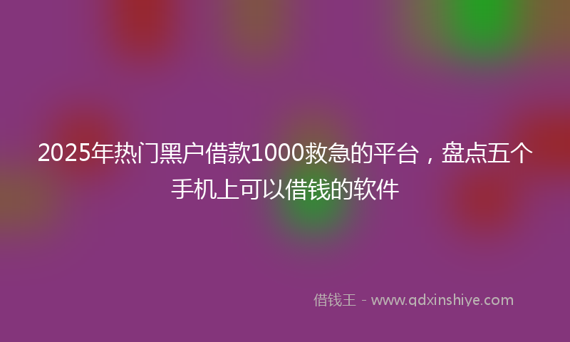 2025年热门黑户借款1000救急的平台,盘点五个手机上可以借钱的软件