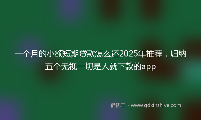 一个月的小额短期贷款怎么还2025年推荐，归纳五个无视一切是人就下款的app