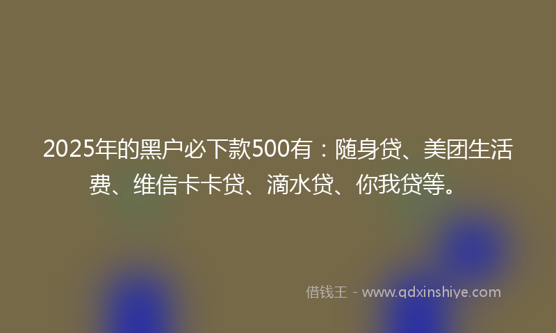 2025年的黑户必下款500有：随身贷、美团生活费、维信卡卡贷、滴水贷、你我贷等。