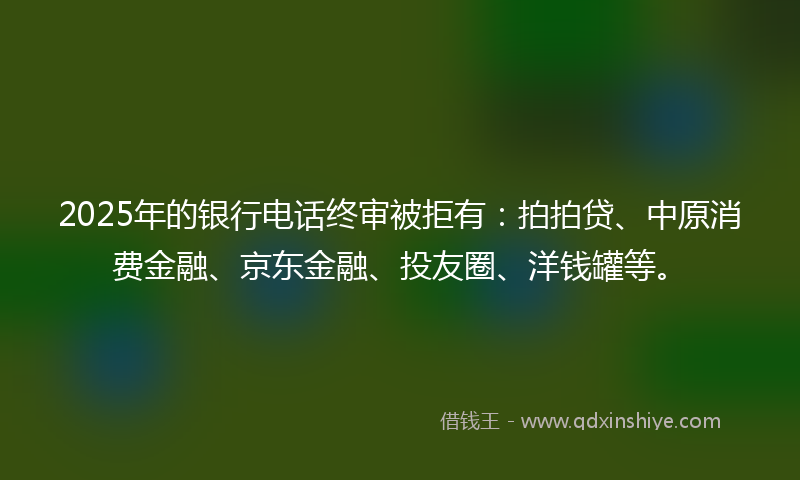 2025年的银行电话终审被拒有：拍拍贷、中原消费金融、京东金融、投友圈、洋钱罐等。