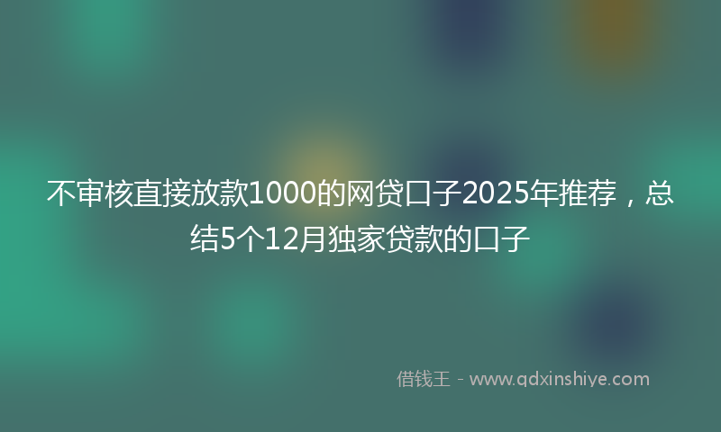 不审核直接放款1000的网贷口子2025年推荐，总结5个12月独家贷款的口子