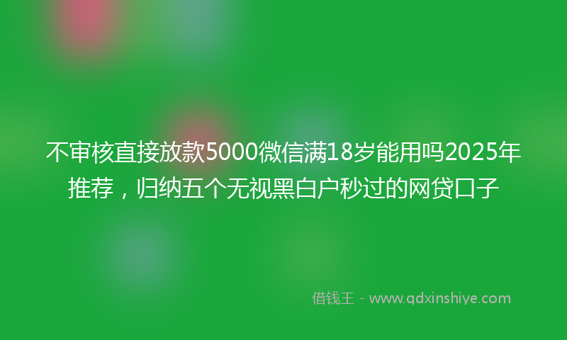 不审核直接放款5000微信满18岁能用吗2025年推荐，归纳五个无视黑白户秒过的网贷口子