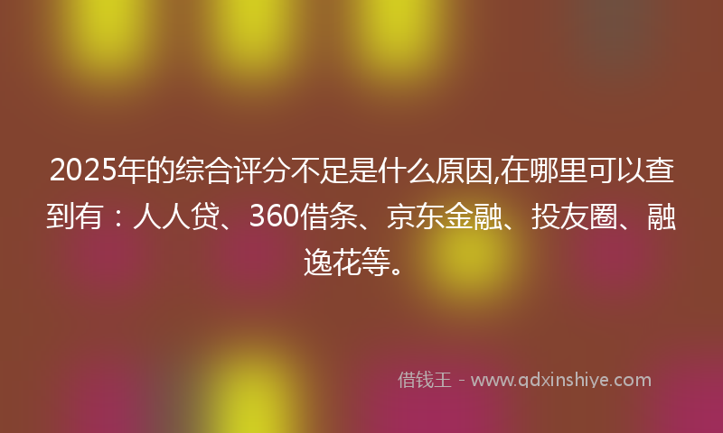 2025年的综合评分不足是什么原因,在哪里可以查到有：人人贷、360借条、京东金融、投友圈、融逸花等。