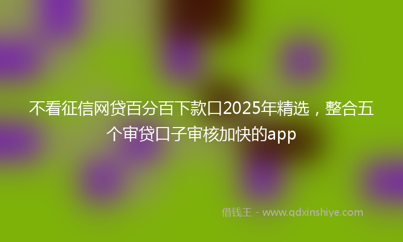 不看征信网贷百分百下款口2025年精选，整合五个审贷口子审核加快的app