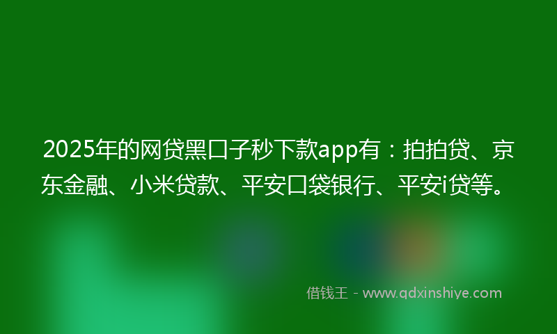 2025年的网贷黑口子秒下款app有：拍拍贷、京东金融、小米贷款、平安口袋银行、平安i贷等。