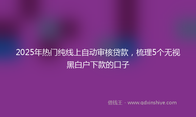2025年热门纯线上自动审核贷款，梳理5个无视黑白户下款的口子