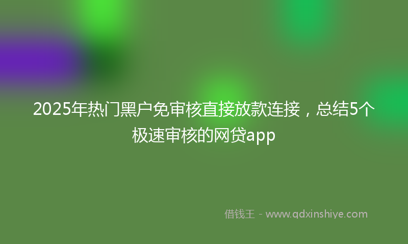 2025年热门黑户免审核直接放款连接，总结5个极速审核的网贷app