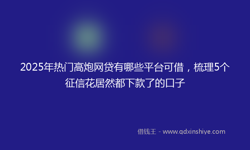 2025年热门高炮网贷有哪些平台可借，梳理5个征信花居然都下款了的口子